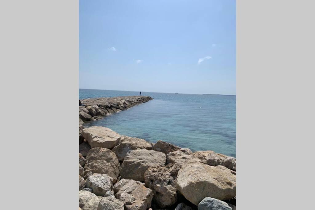 Juan Les Pins Joli T2 Parking Inclus! Lägenhet Antibes Exteriör bild