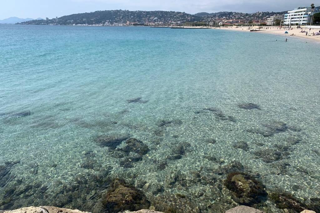 Juan Les Pins Joli T2 Parking Inclus! Lägenhet Antibes Exteriör bild